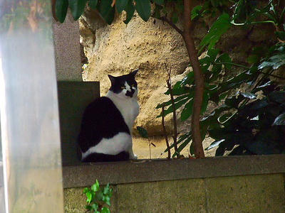 2008_11150036.JPG