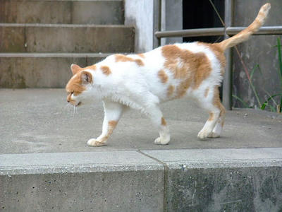 2008_11150049.JPG