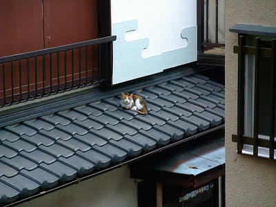2008_11150051.JPG
