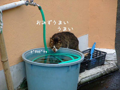 2008_11150042a.JPG