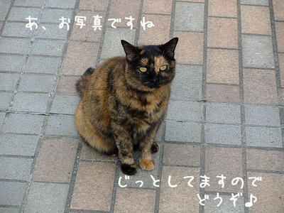 2008_11150039d.JPG