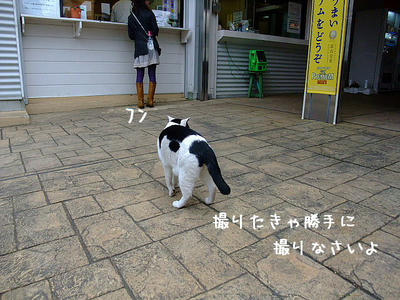 2008_11150053c.JPG