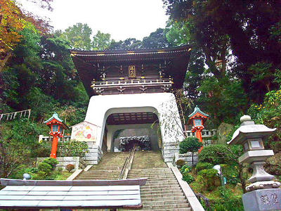 2008_11150062.JPG