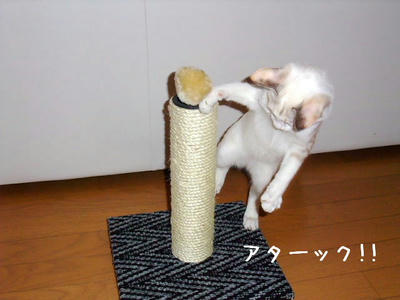 2008_11150082c.JPG