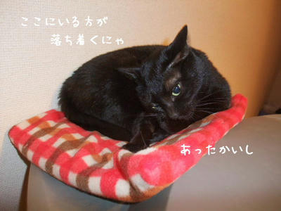 2008_11150148e.JPG