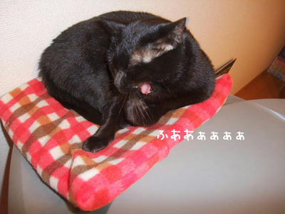 2008_11150145a.JPG