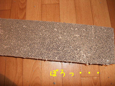 2008_11180015.JPG
