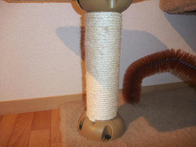2008_11180016.JPG