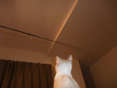 2008_11190004.JPG