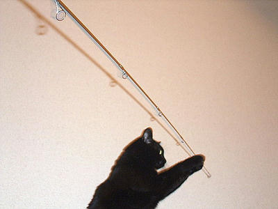 2008_11190013.JPG