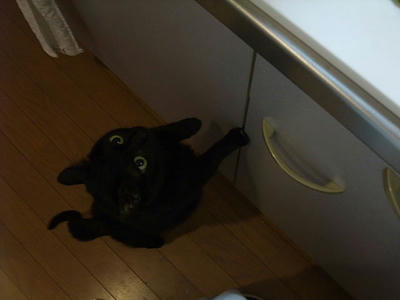 2008_11220006.JPG