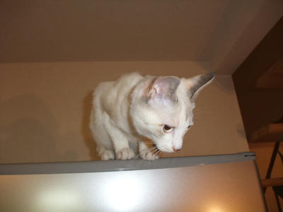2008_11220015.JPG