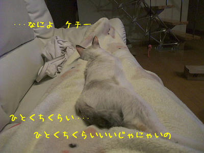 2008_11220024a.JPG