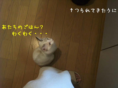 2008_11220008b.JPG