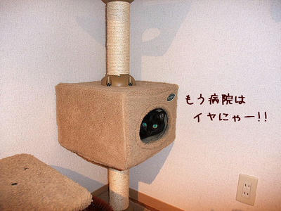 2008_11220046a.JPG
