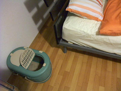 2008_11220042.JPG