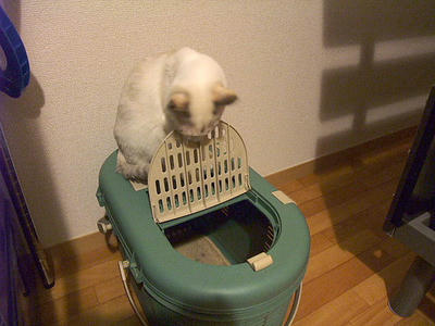 2008_11220043.JPG