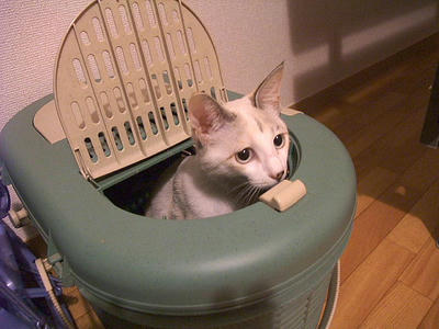 2008_11220040.JPG