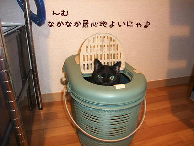 2008_11220054.JPG