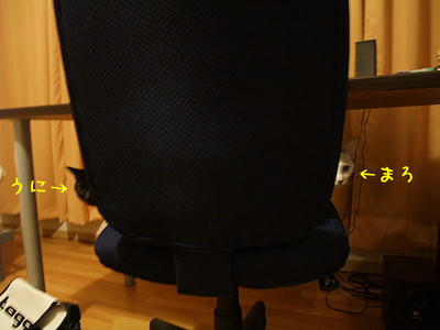 2008_11250003a.JPG