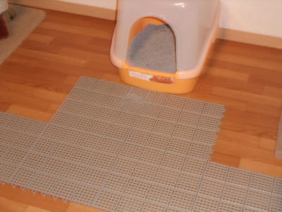 2008_11250007.JPG