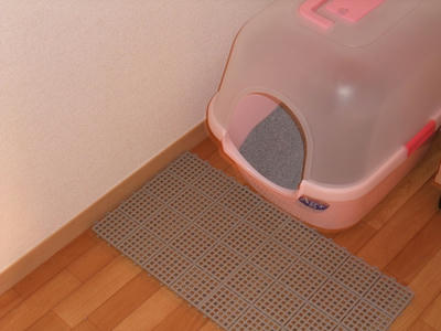 2008_11250009.JPG
