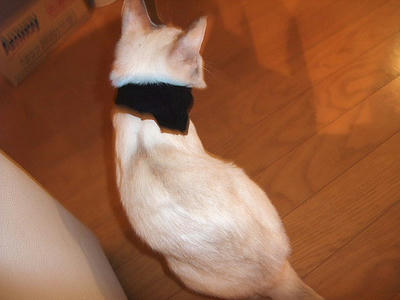 2008_11220033.JPG