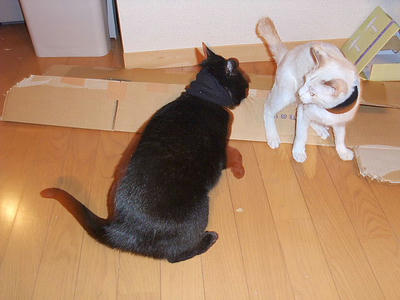 2008_11220037.JPG