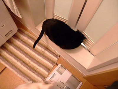 2008_11290181.JPG