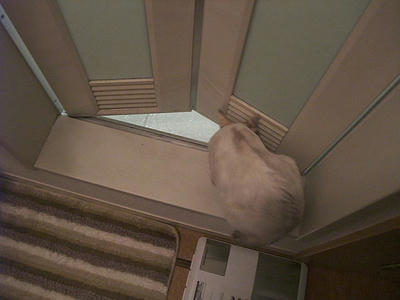 2008_11290042.JPG