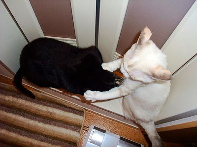 2008_11290173.JPG