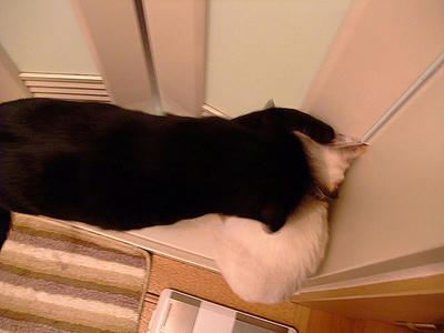 2008_11290178.JPG