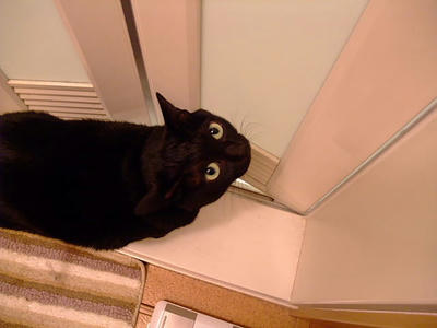 2008_11290182.JPG