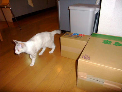 2008_12020017.JPG