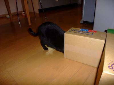 2008_12020005.JPG
