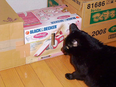 2008_11300012.JPG