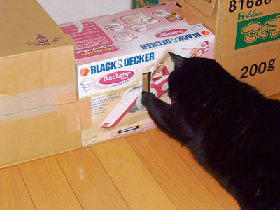 2008_11300013.JPG