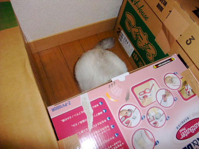 2008_12020007.JPG