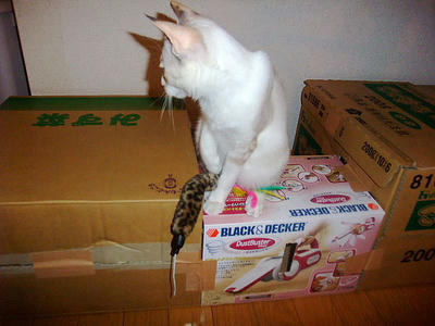 2008_12020013.JPG
