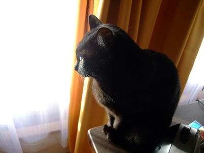 2008_11290091.JPG