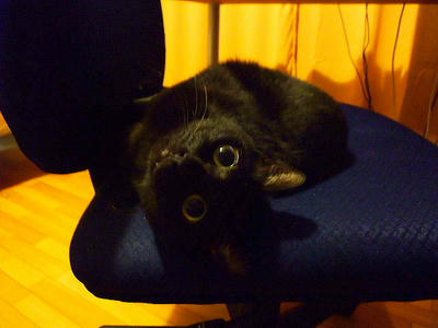2008_12030037b.JPG