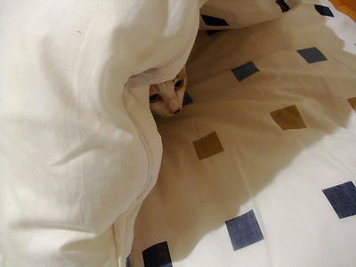 2008_12030032a.JPG