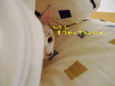 2008_12030036bb.JPG
