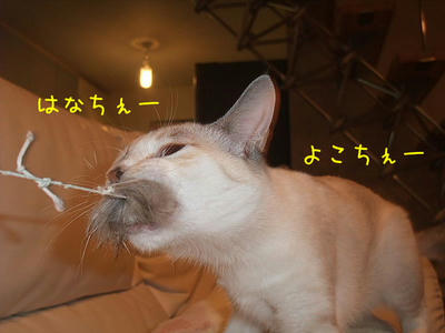 2008_12070092a.JPG