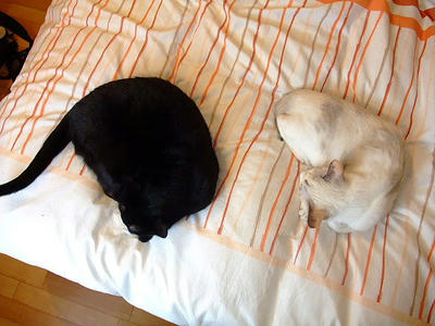 2008_12140063b.JPG