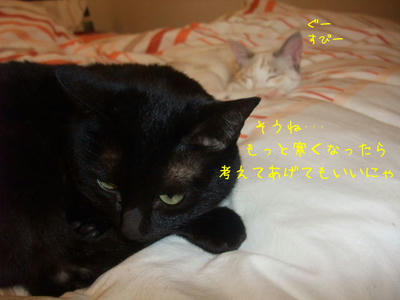 2008_12140101c.JPG