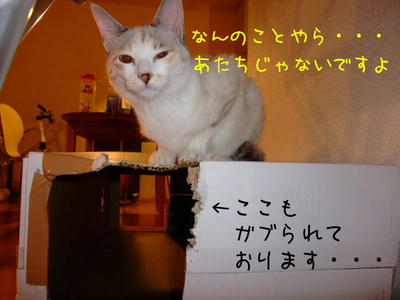 2008_12170085c.JPG