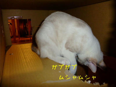 2008_12170104b.JPG