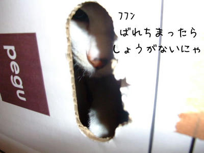 2008_12170097d.JPG