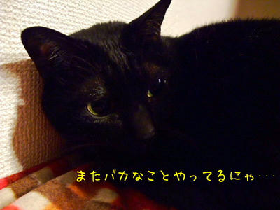 2008_12070041e.JPG